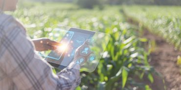 Akıllı Tarım: Sensörlerle Verimliliği Artırın