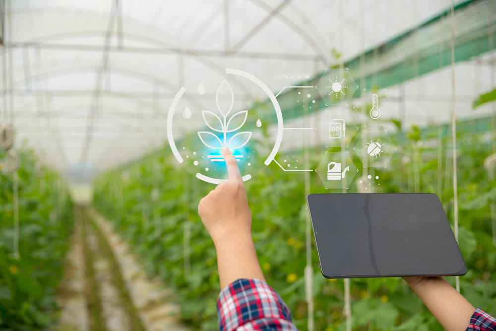 Toprak Sensörleriyle Bitki Büyümesini Optimize Edin
