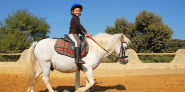 At Biniciliği: Başlangıç Seviyesinden Uzmanlığa