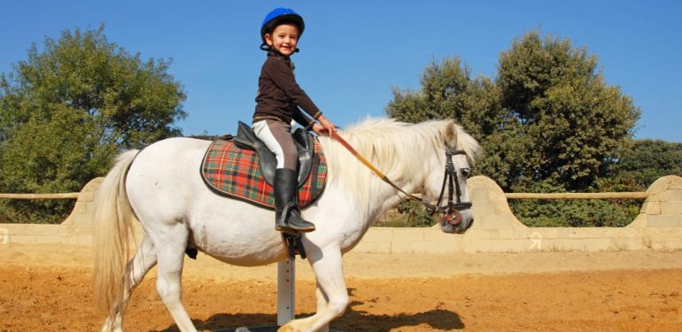 At Biniciliği: Başlangıç Seviyesinden Uzmanlığa