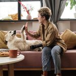 Evde Evcil Hayvan Bakımı: Temel Bilgiler ve İncelikler