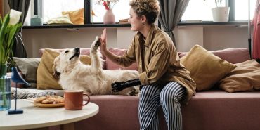 Evde Evcil Hayvan Bakımı: Temel Bilgiler ve İncelikler