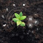 Organik Tarımın Temel Prensipleri