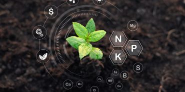 Organik Tarımın Temel Prensipleri