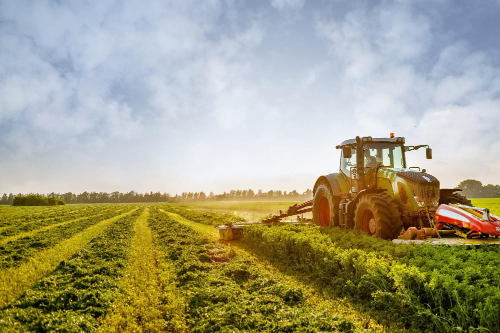 Hassas Tarım Teknolojileri: Verimli Kaynak Kullanımı Sağlamak
